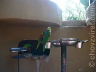 Palmitos park