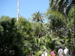 Palmitos park