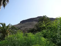 Palmitos park