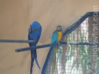 Palmitos park