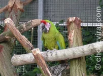 Ptačí park Plantaria