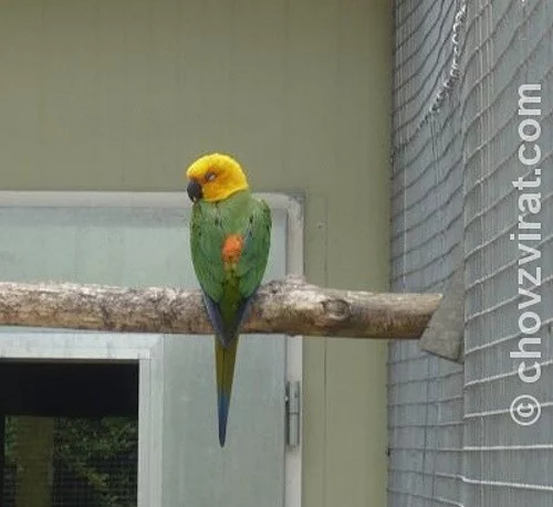 Ptačí park Plantaria