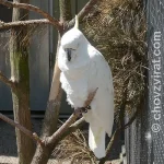 Ptačí park Plantaria