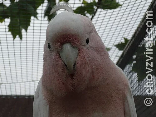 Ptačí park Plantaria