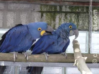 Ptačí park Veldhoven