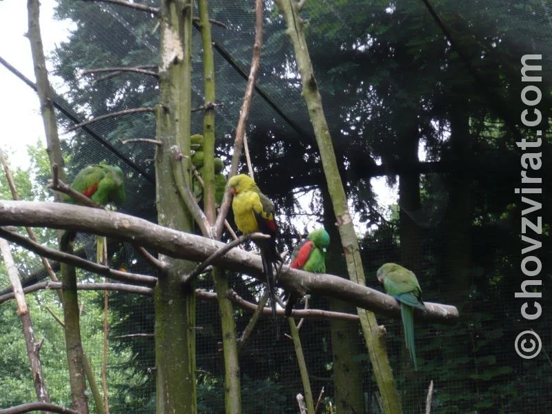 Ptačí park Veldhoven