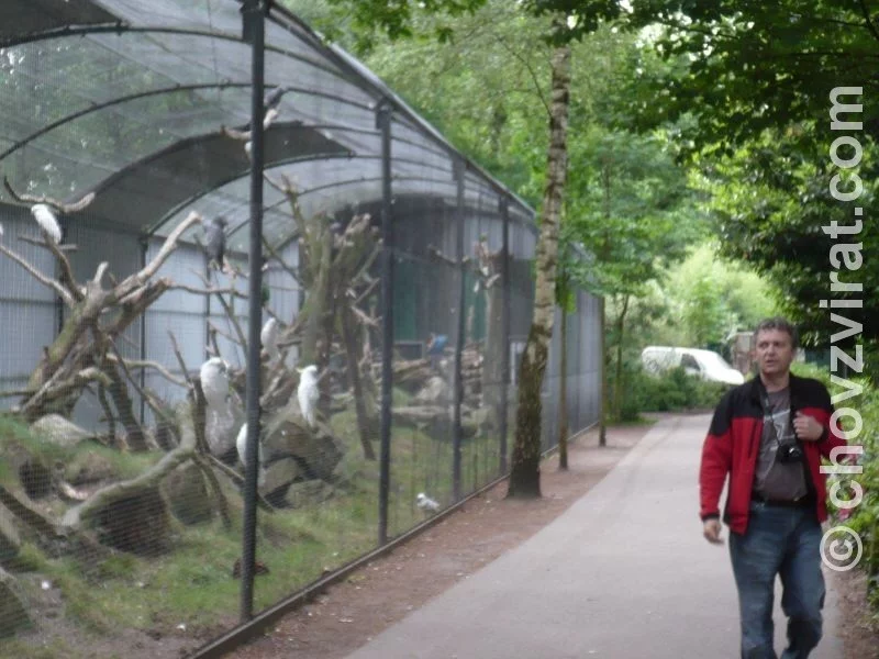 Ptačí park Veldhoven