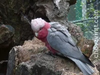 Ptačí park Veldhoven