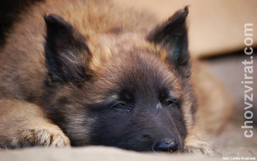 Víš, že jsem unavenej...