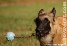 Lutin z Kovárny alias Lex