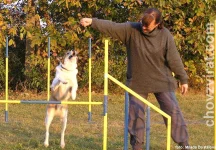 Západosibiřská lajka