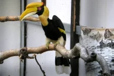 Návštěva chovatele p. Drozdka