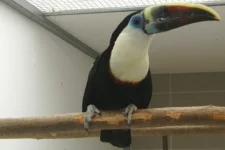 Návštěva chovatele p. Drozdka