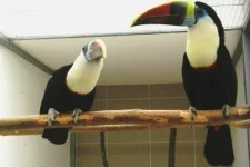 Návštěva chovatele p. Drozdka