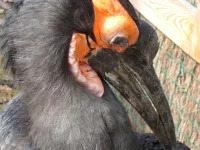 Návštěva zázemí Zoo Plzeň