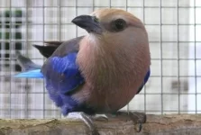 Návštěva zázemí Zoo Plzeň