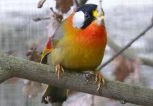 Návštěva zázemí Zoo Plzeň