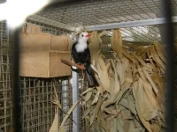 Návštěva zázemí Zoo Plzeň