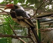 Ptačí park Walsrode