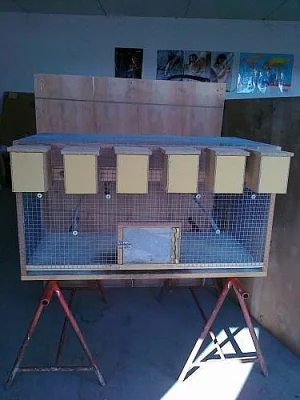 Větší klec pro drobné ptactvo -