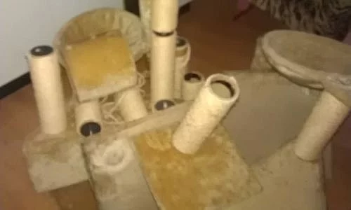 velké škrabadlo pro kočky