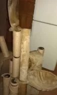 velké škrabadlo pro kočky
