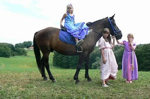 RICHMOND CITY RANCH