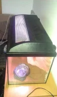 Prodá krásne terárium i s 3D pozadím.