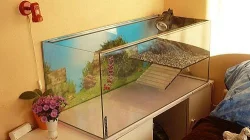 Prodám akvárium 120x50x50