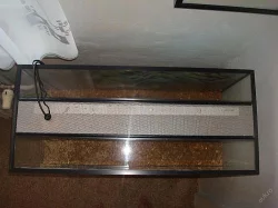 Prodám terárium 80x35x40 s černým stolkem