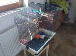 vetší klec pro papoušky