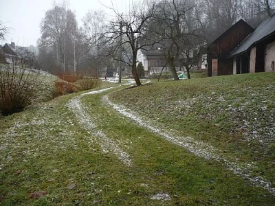 České husy