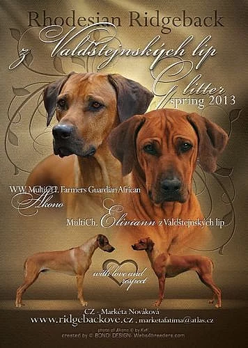 Rhodéský Ridgeback