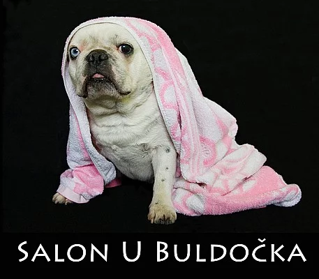Salon U Buldočka