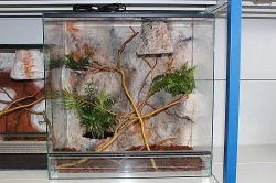Terárium nové, kompletně vybavené s živými rostlin