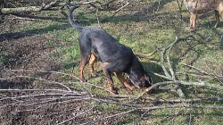 10 mesicni fenka