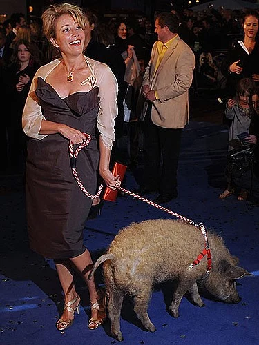 Mangalica - prase které má svůj vlastní festival