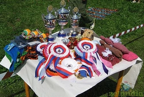 Alikův pohár 2013