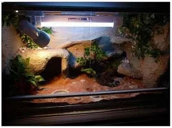 Terarium vhodne pro agamu,chameleona,zelvu,hada