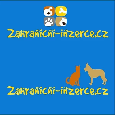 Inzerujte svá štěňata a koťata v zahraničí!