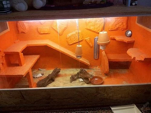 Terarium OSB 130x60x70
