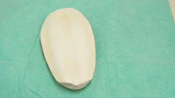 Senegalské proso a sépiové kosti.