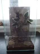 Chov pavouků a terarium 2
