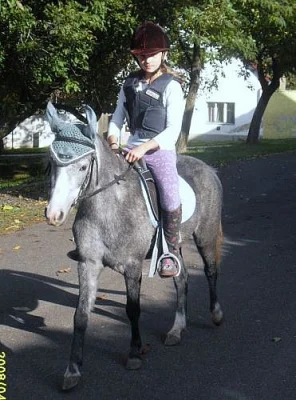 welsh part bred klisna