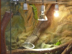 Prodám rohové terárium pro ještěry!