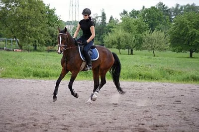 Ustájení Orlová