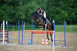 Hodná klisna pro hobby sport / rekreaci