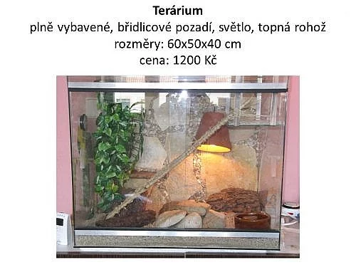 Terárium 60x50x40