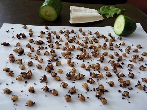 Achatina reticulata - mimina