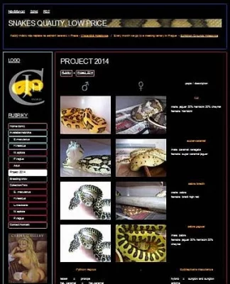 Kobercovky M. spilota ssp. -